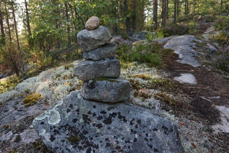 lahti-guided-nature-walk-the-heart-of-the-swamp