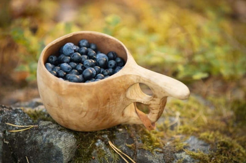 Lahti: Wild Food Foraging Tour with Tastings - Introduction to the Tour in Lahti