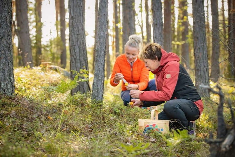 Lahti: Wild Food Foraging Tour with Tastings - The Value of the Experience