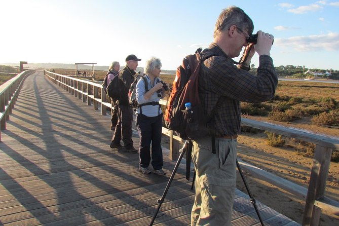 laid-back-birdwatching-week