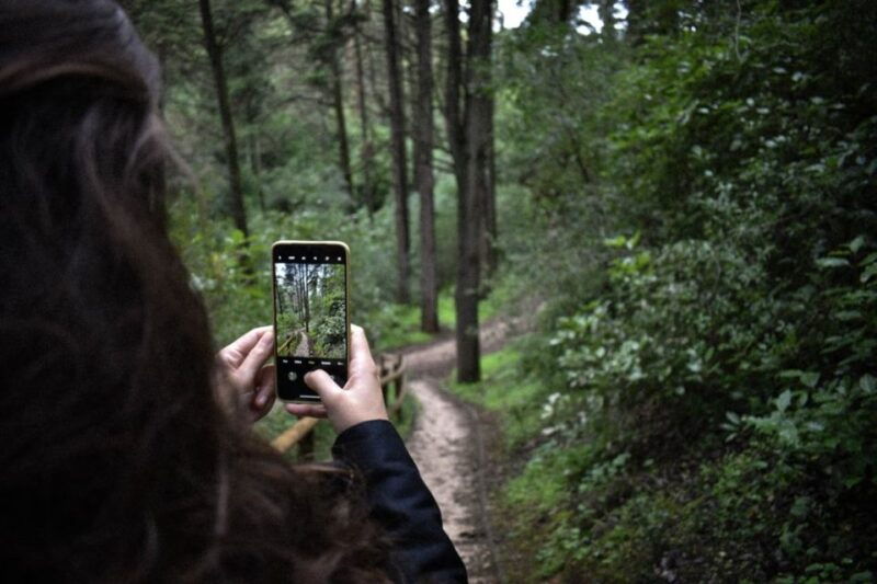 lake-agnes-tea-house-trail-nature-tour-with-audio-guide