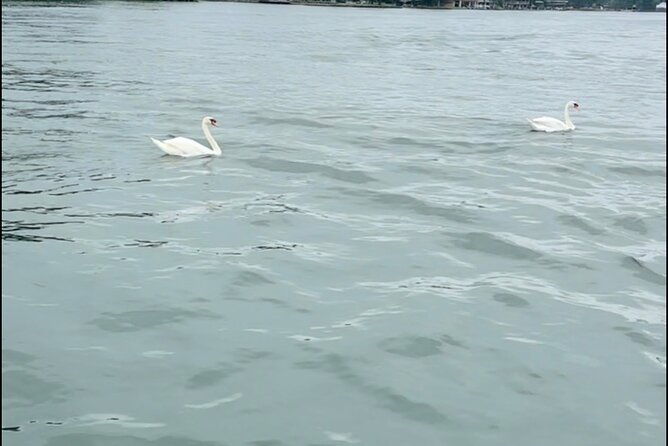 lake-austin-boat-tour-3-hours-captained-up-to-12-guests