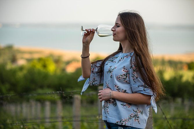 lake-balaton-full-day-private-wine-tour