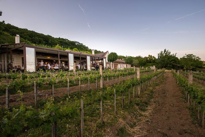 lake-balaton-full-day-private-wine-tour