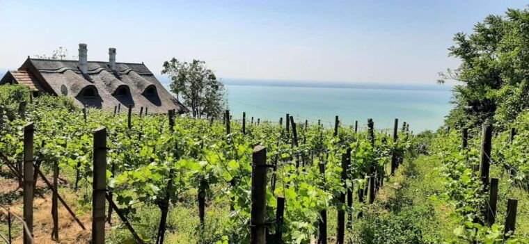 lake-balaton-full-day-tour-from-budapest