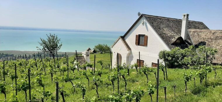 lake-balaton-full-day-tour-from-budapest