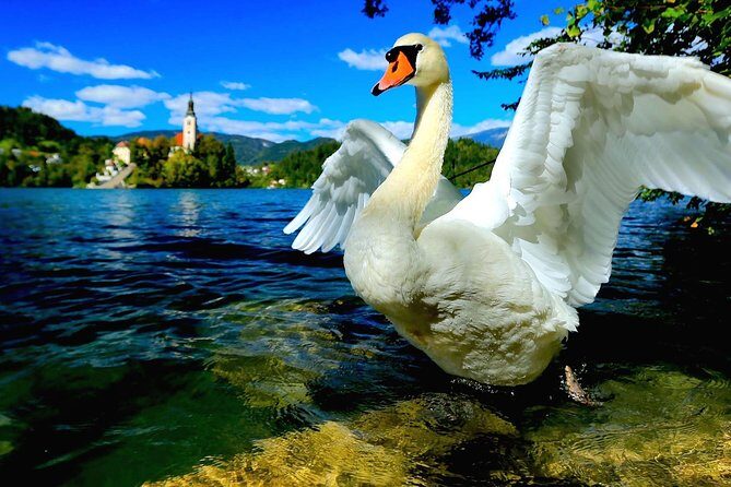 Lake Bled & Ljubljana - Shore Excursion from Trieste - Who Is This Tour Best For?