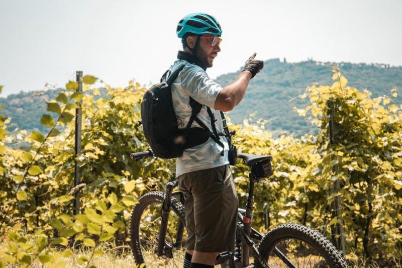 lake-bolsena-and-the-via-francigena-ebike-tour