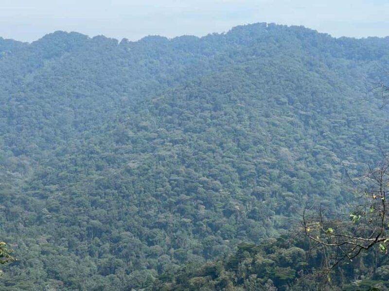 Lake Bunyonyi: Mgahinga Gorilla National Park Day Trip - Practical Tips