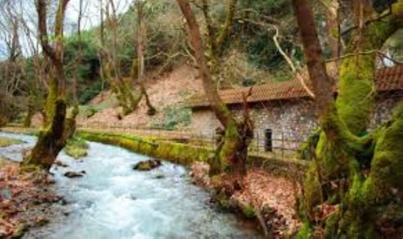 Lake caves and rack railway in Kalavryta - Why This Tour Offers Great Value