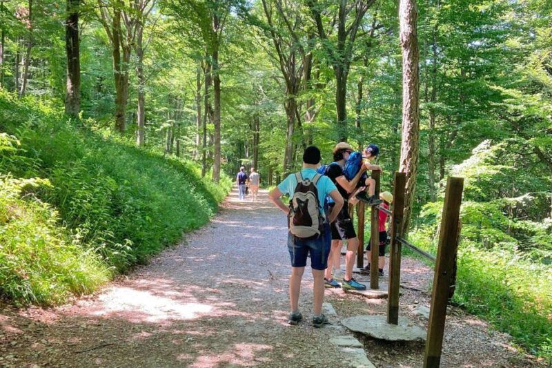 lake-como-half-day-hike-in-dolomitic-mountains-over-lecco