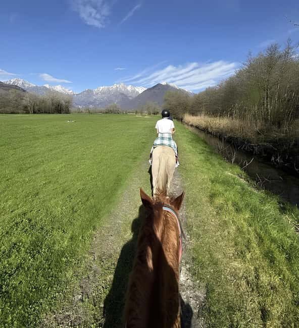 Lake Como: Horseback Riding Tour from Colico - A Close Look at the Horseback Riding Experience