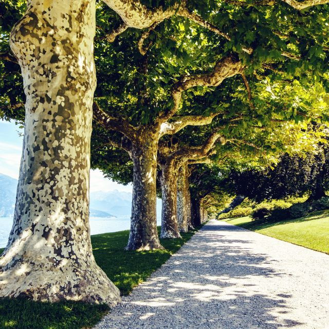 lake-como-lakeside-villas-entry-tickets-with-ferries