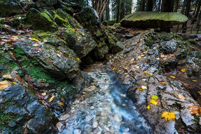 Lake Como trekking private guided tour, from Milan or Como - FAQ