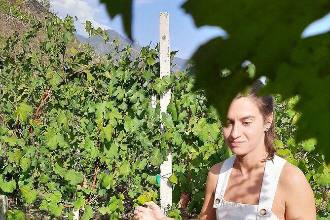 lake-como-unesco-dry-stone-walls-vineyards