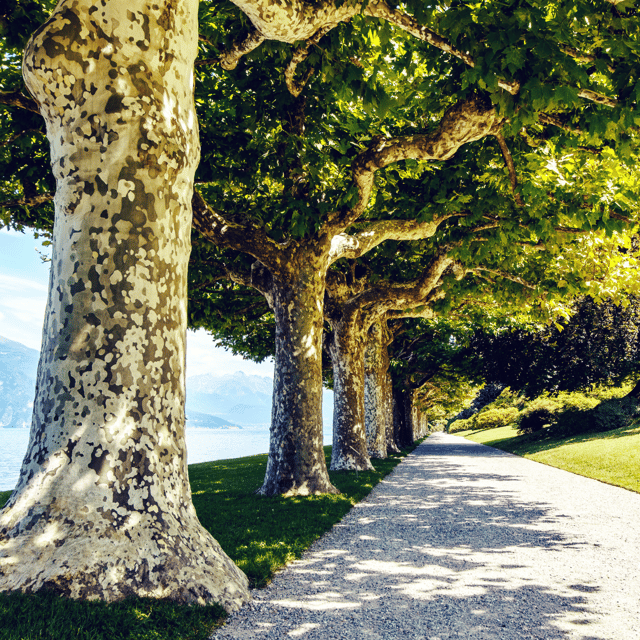 lake-como-villa-melzi-garden-entry-ticket-with-ferries