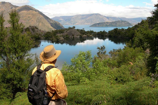 Lake Cruise & Mou Waho Island Nature Walk - Detailed Itinerary Breakdown
