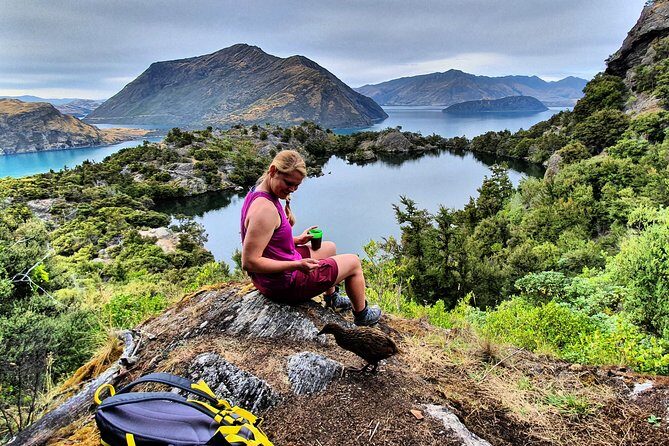 Lake Cruise & Mou Waho Island Nature Walk - Who Will Love This Experience?