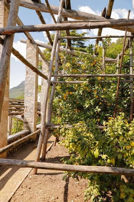 Lake Cruise (visit Gargnano + typical Lemon Garden) - Introduction