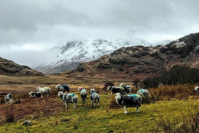 Lake District Adventure Sightseeing Day Trip from Liverpool - Key Points