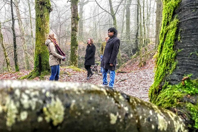 Lake District Adventure Sightseeing Day Trip from Liverpool - Authentic Experiences and Insider Tips