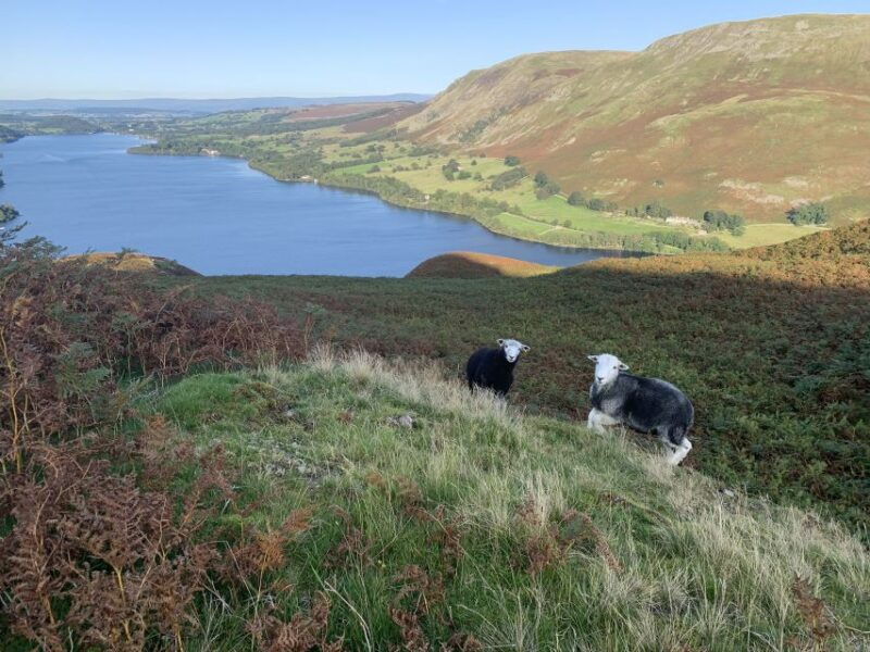 lake-district-exploration-pack-with-route-maps-discounts