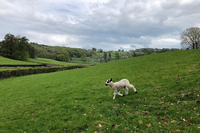 lake-district-from-liverpool-including-lake-cruise-cream-tea