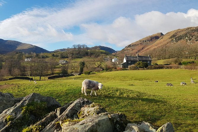 lake-district-from-manchester-including-lake-cruise-cream-tea