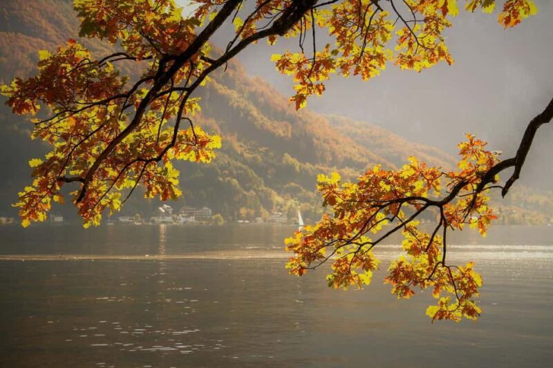 Lake District Tour and Windermere Cruise from Manchester - The Itinerary in Detail