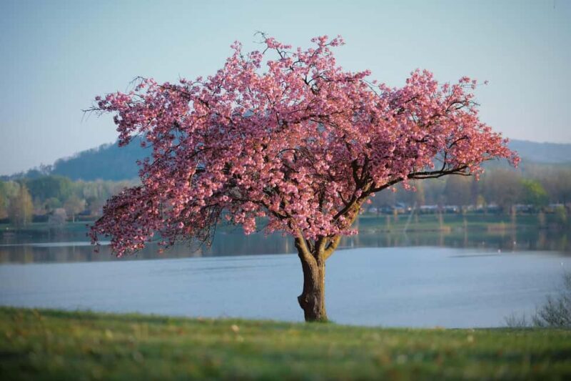 Lake District Tour and Windermere Cruise from Manchester - What’s Included and What’s Not