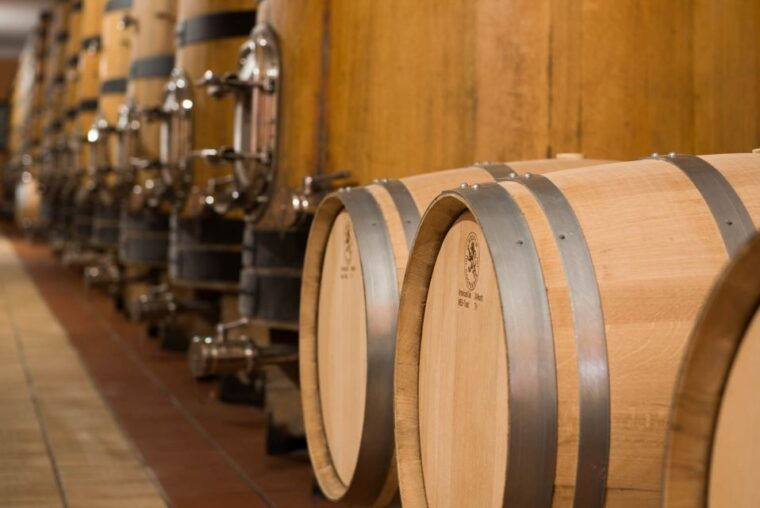 lake-garda-garda-hills-wine-tour-and-tasting