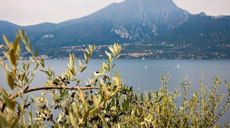 lake-garda-nature-cuisine-culture-and-history