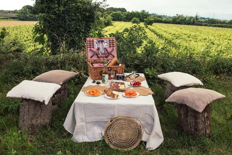 Lake Garda: Pic Nic in the vineyard with wine tasting - An overview of the experience