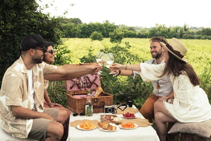 Lake Garda: Pic Nic in the vineyard with wine tasting - The winery tour: more than just tasting