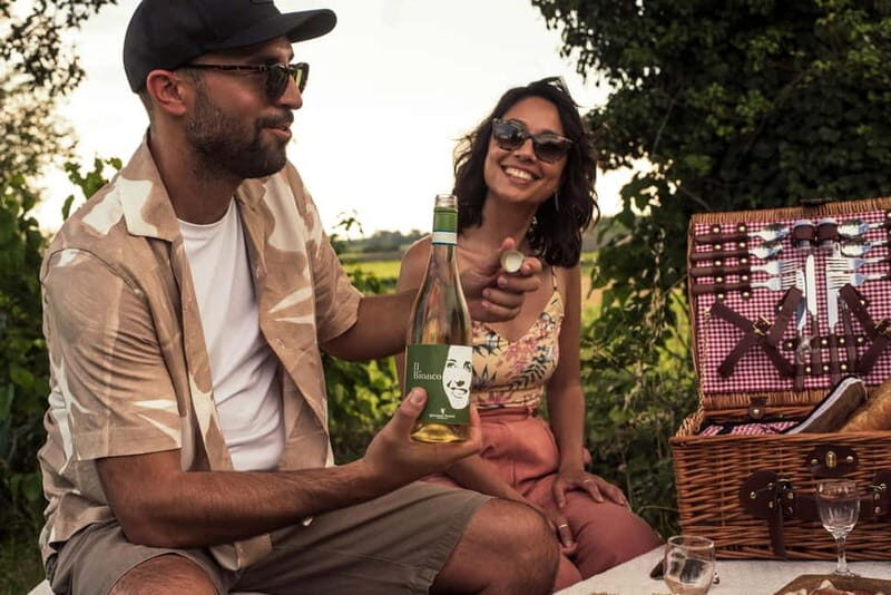 Lake Garda: Pic Nic in the vineyard with wine tasting - Practical details and considerations