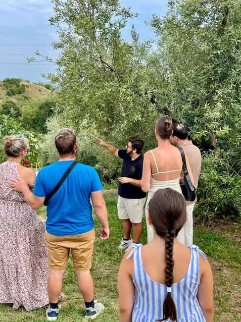 Lake Garda: Tour with 4 Olive Oil Tasting & Local Food - Who Will Love This Tour?