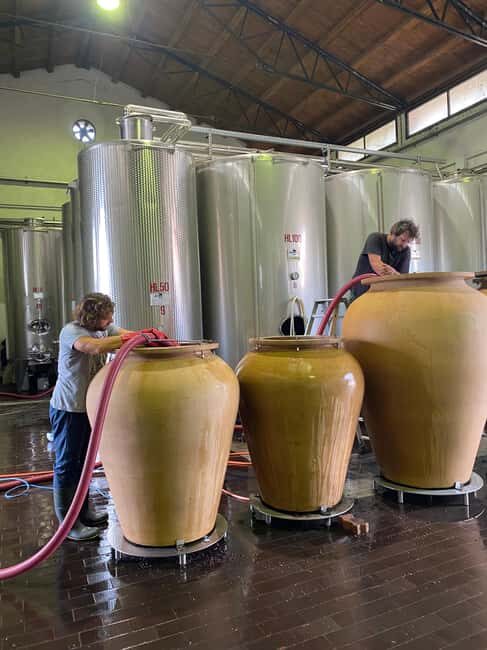 LAKE GARDA: VINEYARD AND WINERY TOUR - Final Thoughts