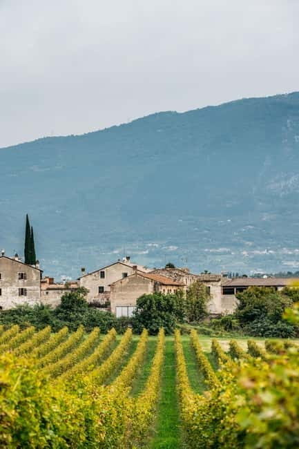 LAKE GARDA: VINEYARD AND WINERY TOURS - Final Thoughts
