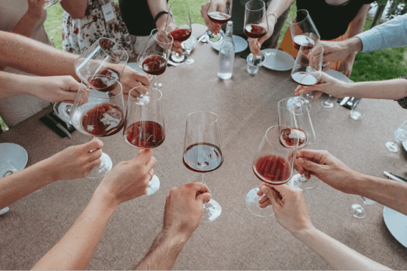 lake-garda-vineyard-tour-and-tasting-on-the-hills