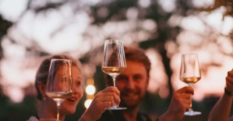 lake-garda-vineyard-tour-and-tasting-on-the-hills