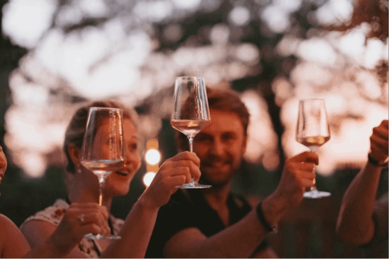 lake-garda-vineyard-tour-and-tasting-on-the-hills