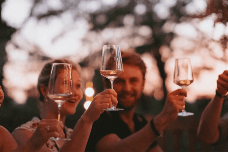 lake-garda-vineyard-tour-and-tasting-on-the-hills