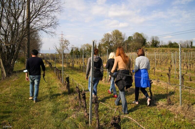 lake-garda-vineyards-tour-and-wine-tasting