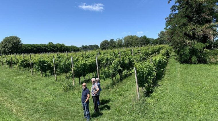 lake-garda-vineyards-tour-and-wine-tasting