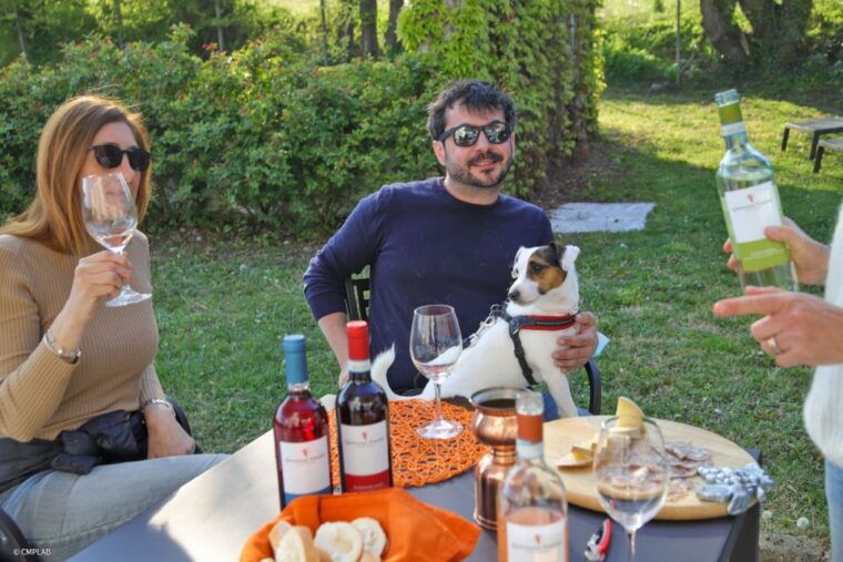 lake-garda-vineyards-tour-and-wine-tasting