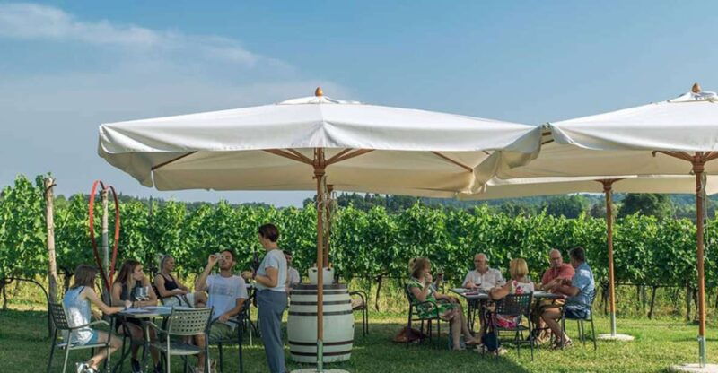 lake-garda-wine-and-food-tastings-in-the-vineyards