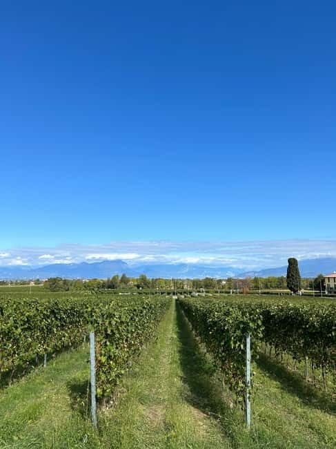 Lake Garda: Wine Tasting and Myths Tour with Local Snacks - Real Traveler Perspectives
