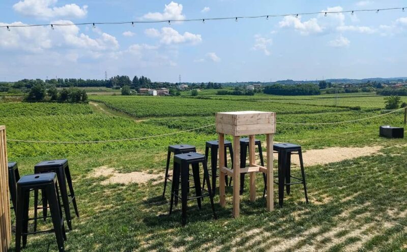 Lake Garda: Wine Tasting with Panoramic View - Key Points