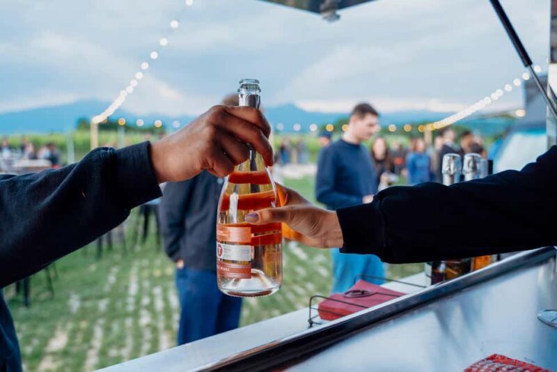 Lake Garda: Wine Tasting with Panoramic View - What to Keep in Mind