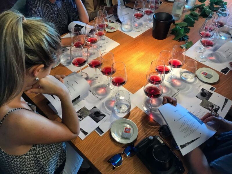 lake-garda-wine-tour-and-tasting-experience-in-bardolino